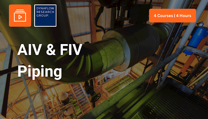 Acoustic and Flow Induced Vibrations in Industrial Systems ...