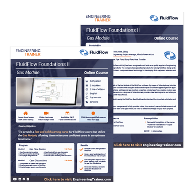 Course Brochure for FluidFlow Foundations II - Gas Module