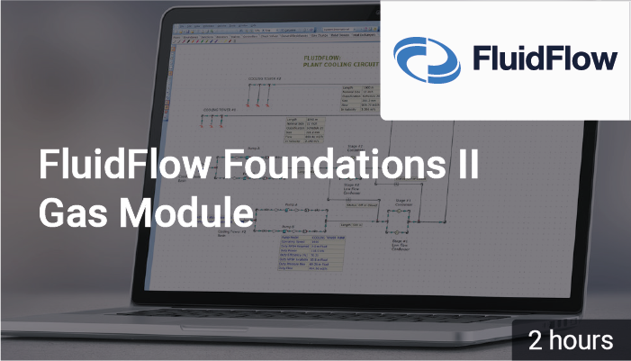 FluidFlow Foundations II - Gas Module
