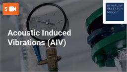 [SPC010M2] Acoustic Induced Vibrations (AIV)