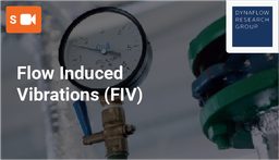 [SPC010M3] Flow Induced Vibrations (FIV)