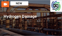 [SPC3001M31 - Product] Hydrogen Damage